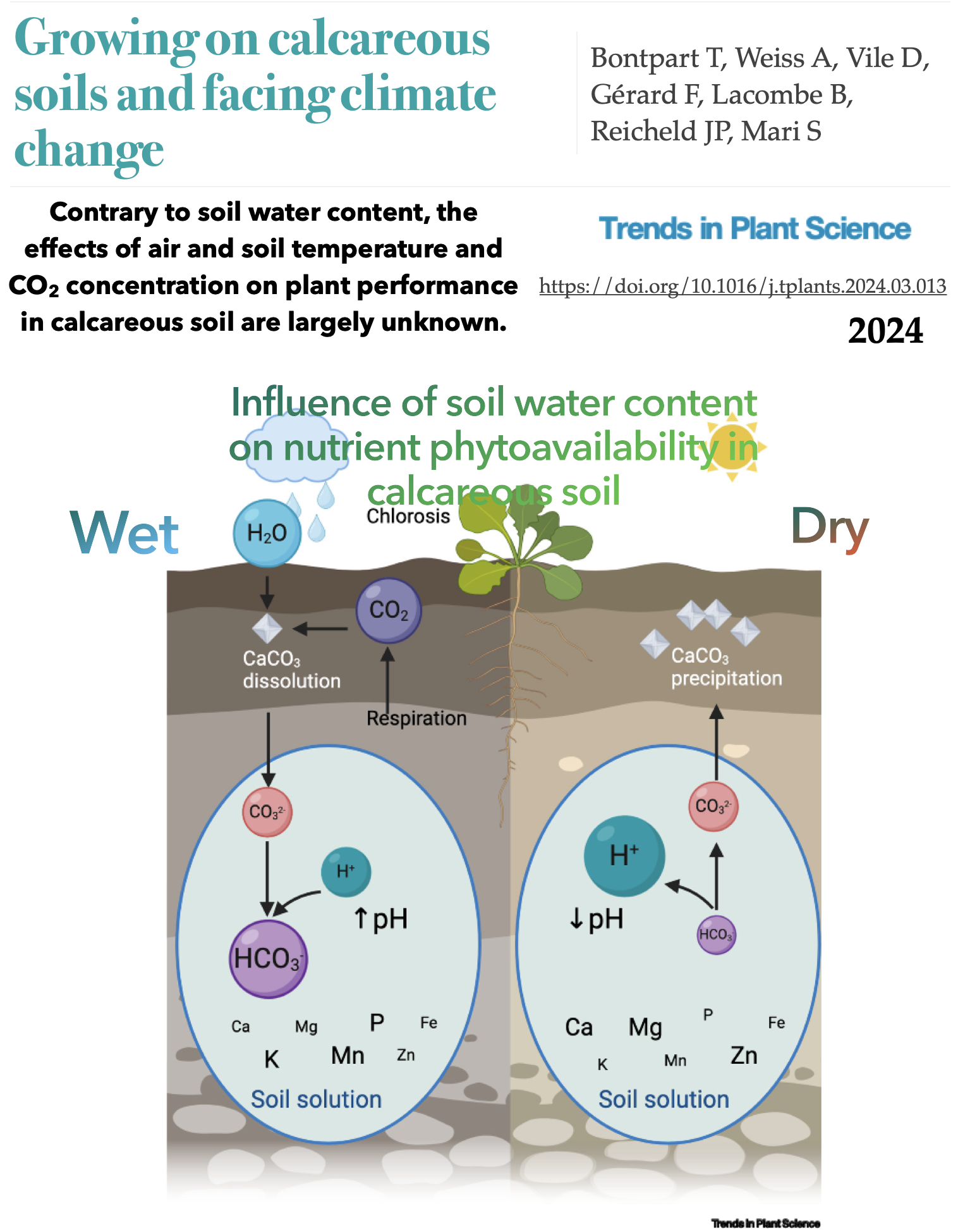 Bontpart-Vile-CaCO3-climate-change-TPLS-2024.png