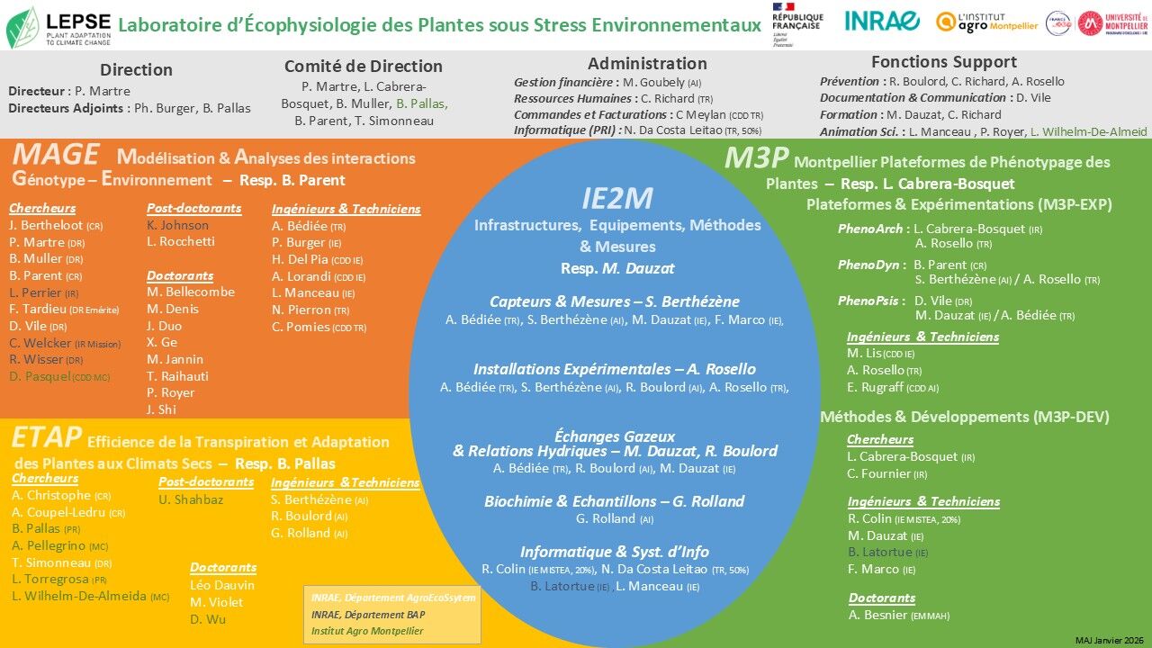 organigramme LEPSE Jan 2026