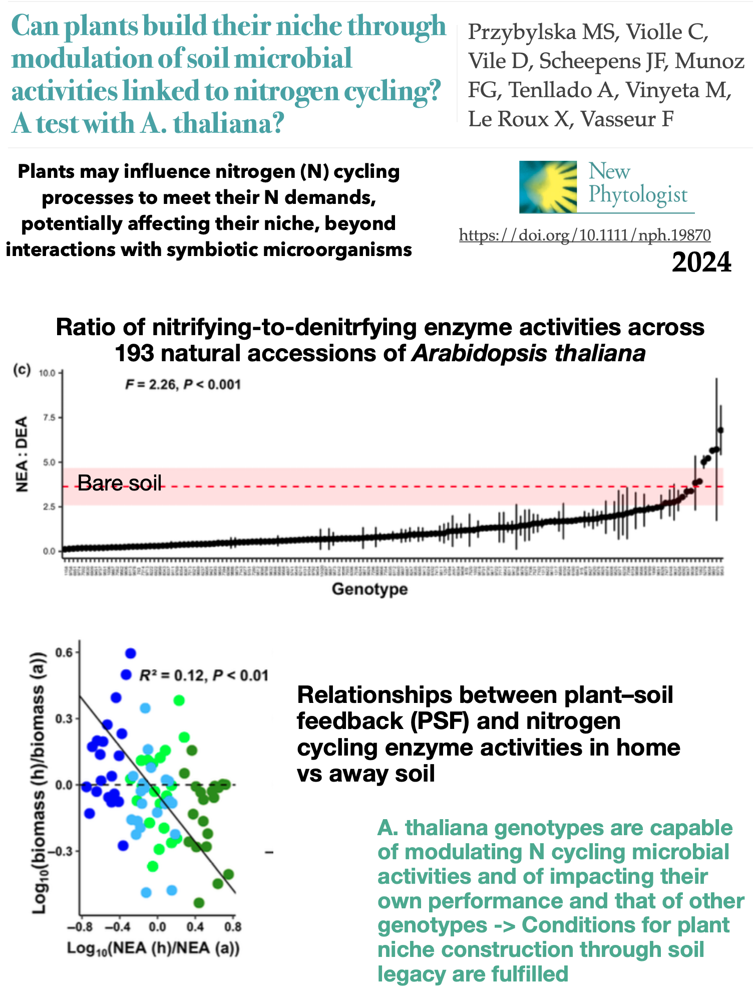 Przybylska-new-phytol-2024.png