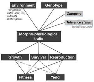 Phenotype-Genotype-x-Environment_large