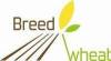 Breedwheat_medium
